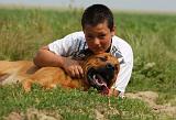 ENFANT ET CHIEN 389